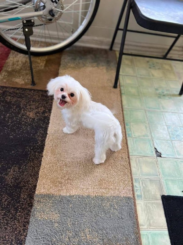 Bailey