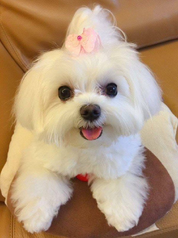 Lucy